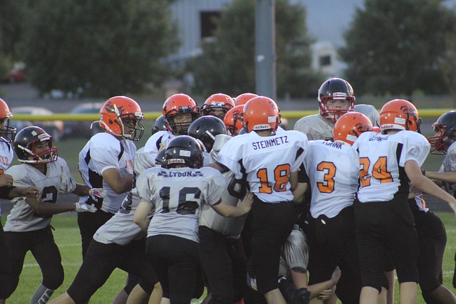 球队体系 球队体系