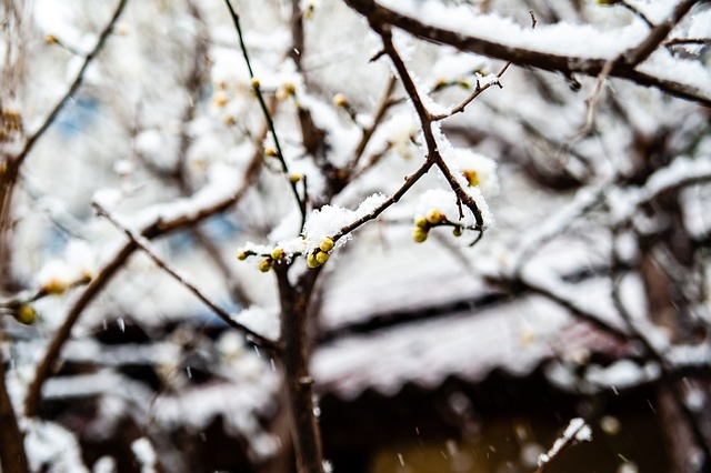 终场数据虽