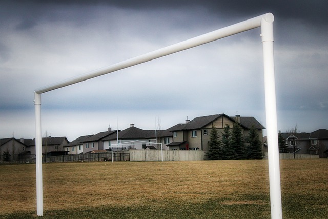 提供有价值 提供有价值