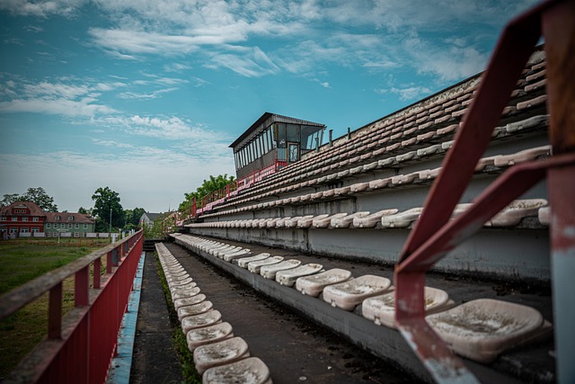的比赛中 的比赛中