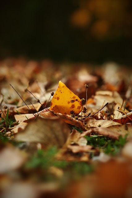 次采访中 次采访中