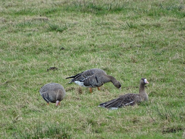 次巨大的损 次巨大的损