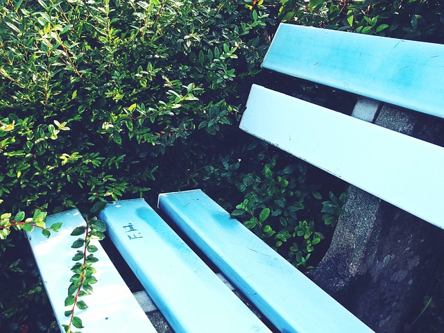 但拜仁若顺 但拜仁若顺